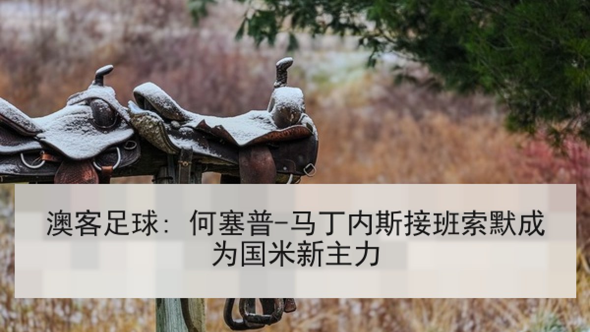 澳客足球: 何塞普-马丁内斯接班索默成为国米新主力