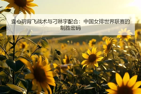 袁心玥背飞战术与刁琳宇配合：中国女排世界联赛的制胜密码