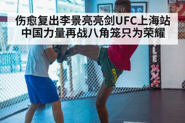 伤愈复出李景亮亮剑UFC上海站 中国力量再战八角笼只为荣耀